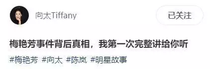 梅艳芳向太黑社会事件_向太梅艳芳恩怨_香港黑社会 娱乐圈